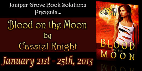 Blood on the Moon Banner