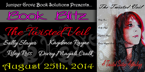 The Twisted Veil Blitz Banner