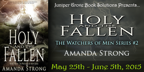 Holy and the Fallen Tour Banner