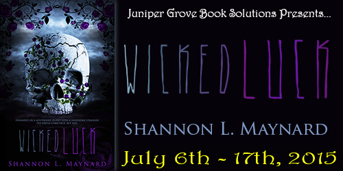 Wicked Luck Tour Banner