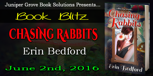 Chasing Rabbits Blitz Banner