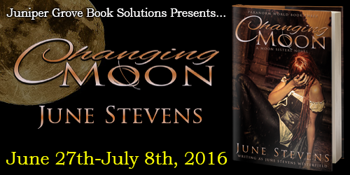Changing Moon Tour Banner